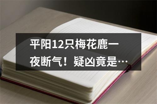 平阳12只梅花鹿一夜断气！疑凶竟是…