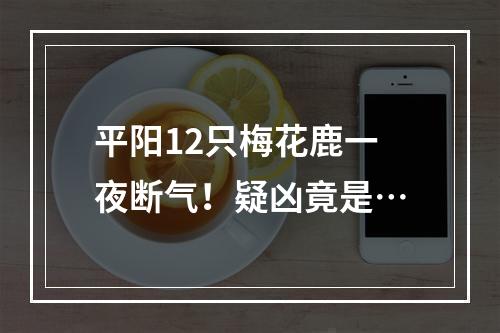 平阳12只梅花鹿一夜断气！疑凶竟是…
