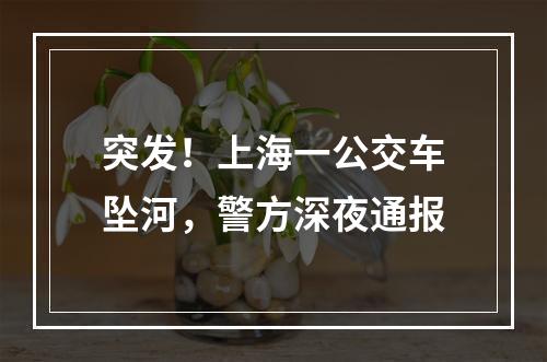 突发！上海一公交车坠河，警方深夜通报