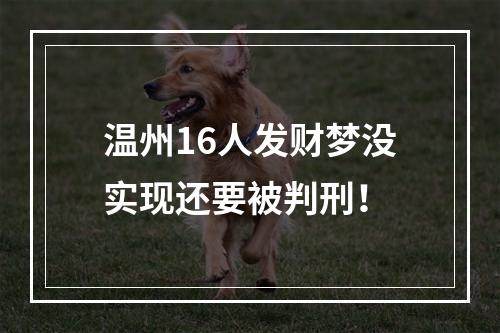 温州16人发财梦没实现还要被判刑！