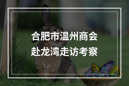合肥市温州商会赴龙湾走访考察