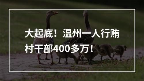 大起底！温州一人行贿村干部400多万！