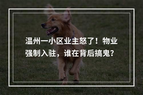 温州一小区业主怒了！物业强制入驻，谁在背后搞鬼？