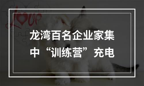龙湾百名企业家集中“训练营”充电