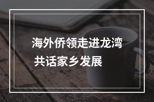 海外侨领走进龙湾 共话家乡发展