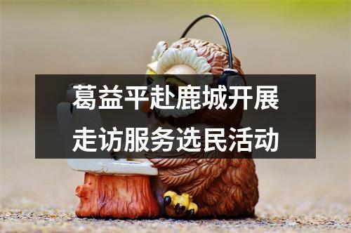 葛益平赴鹿城开展走访服务选民活动