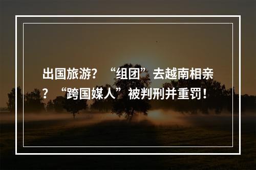 出国旅游？“组团”去越南相亲？“跨国媒人”被判刑并重罚！