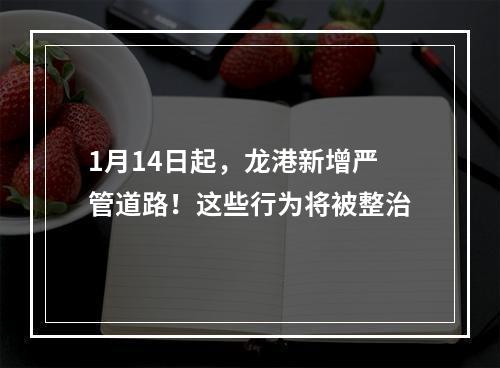 1月14日起，龙港新增严管道路！这些行为将被整治