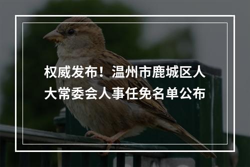 权威发布！温州市鹿城区人大常委会人事任免名单公布