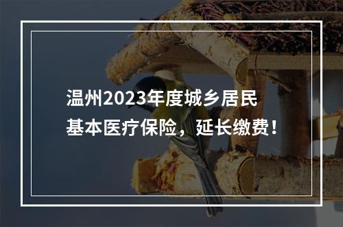 温州2023年度城乡居民基本医疗保险，延长缴费！