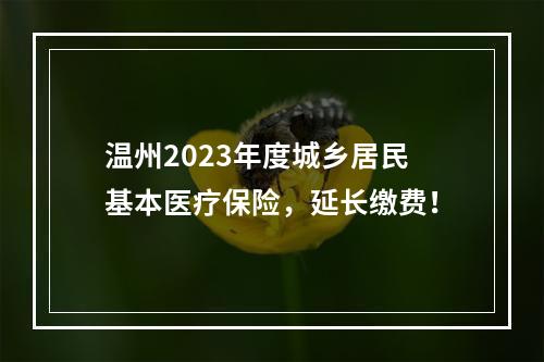 温州2023年度城乡居民基本医疗保险，延长缴费！