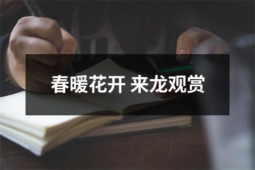 春暖花开 来龙观赏