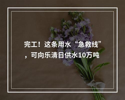 完工！这条用水“急救线”，可向乐清日供水10万吨