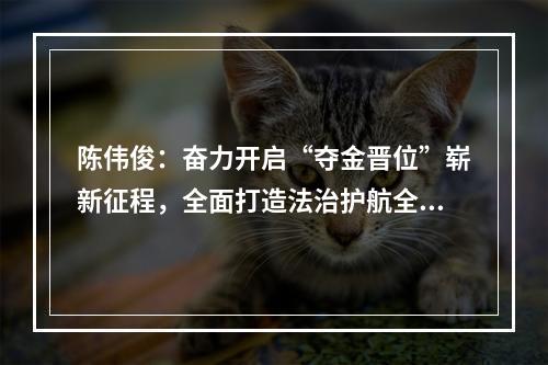 陈伟俊：奋力开启“夺金晋位”崭新征程，全面打造法治护航全域平安的温州样板