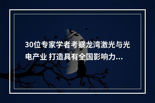 30位专家学者考察龙湾激光与光电产业 打造具有全国影响力的产业集群