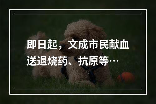 即日起，文成市民献血送退烧药、抗原等…