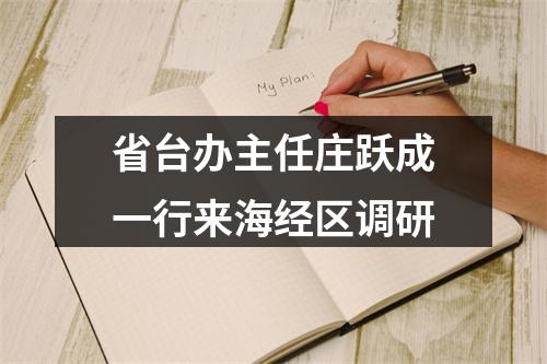 省台办主任庄跃成一行来海经区调研