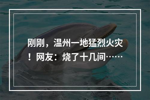 刚刚，温州一地猛烈火灾！网友：烧了十几间……