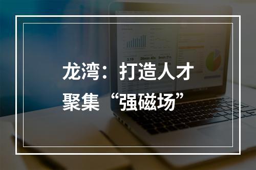 龙湾：打造人才聚集“强磁场”