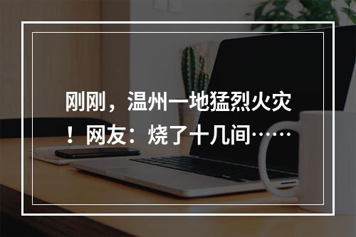刚刚，温州一地猛烈火灾！网友：烧了十几间……
