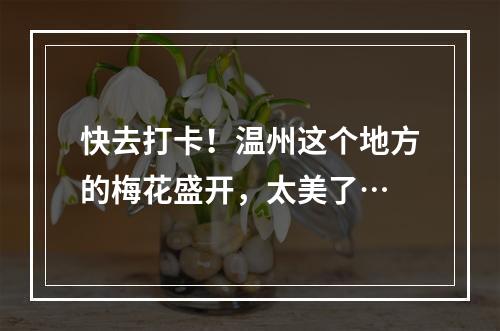 快去打卡！温州这个地方的梅花盛开，太美了…