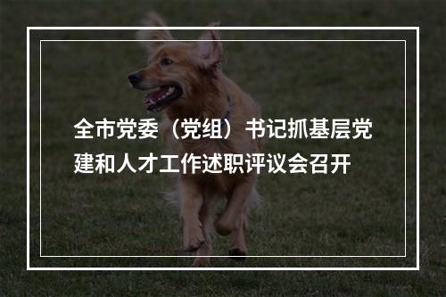 全市党委（党组）书记抓基层党建和人才工作述职评议会召开