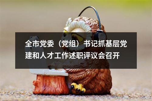 全市党委（党组）书记抓基层党建和人才工作述职评议会召开