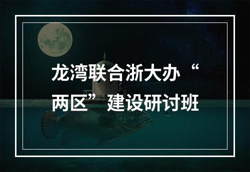 龙湾联合浙大办“两区”建设研讨班