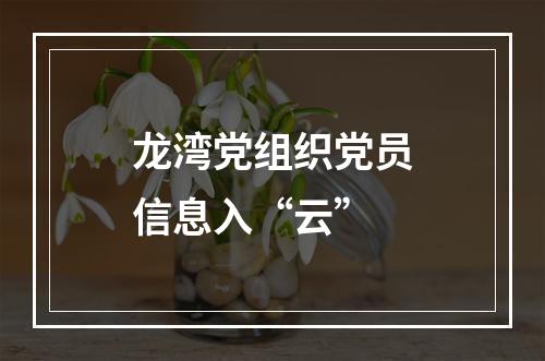 龙湾党组织党员信息入“云”