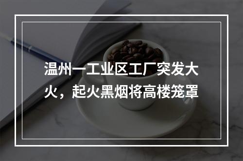 温州一工业区工厂突发大火，起火黑烟将高楼笼罩