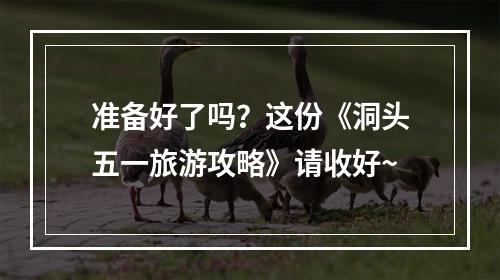 准备好了吗？这份《洞头五一旅游攻略》请收好~
