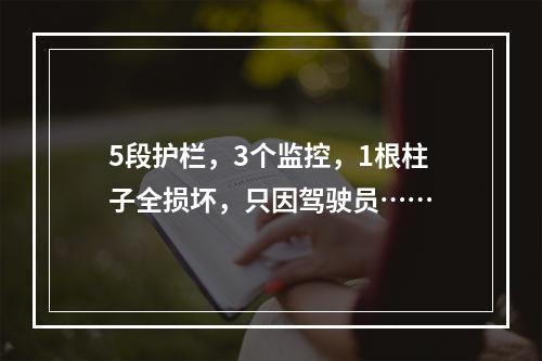 5段护栏，3个监控，1根柱子全损坏，只因驾驶员……