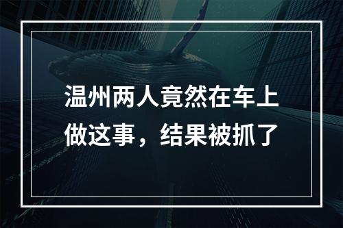 温州两人竟然在车上做这事，结果被抓了