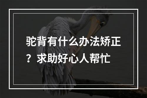 驼背有什么办法矫正？求助好心人帮忙