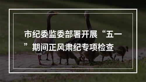 市纪委监委部署开展“五一”期间正风肃纪专项检查