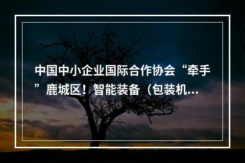 中国中小企业国际合作协会“牵手”鹿城区！智能装备（包装机械）产业谷启动！