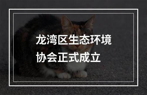 龙湾区生态环境协会正式成立