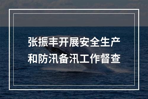 张振丰开展安全生产和防汛备汛工作督查