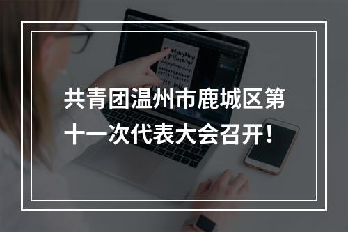 共青团温州市鹿城区第十一次代表大会召开！