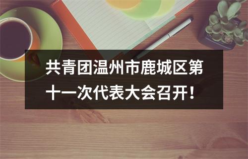 共青团温州市鹿城区第十一次代表大会召开！