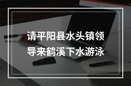请平阳县水头镇领导来鹤溪下水游泳