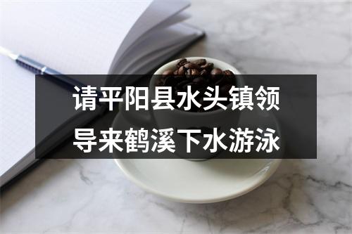 请平阳县水头镇领导来鹤溪下水游泳