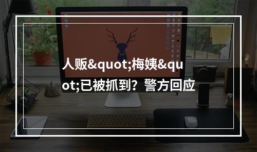 人贩"梅姨"已被抓到？警方回应