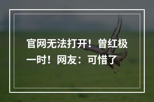 官网无法打开！曾红极一时！网友：可惜了