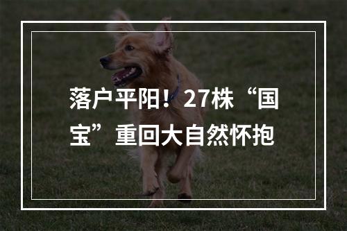 落户平阳！27株“国宝”重回大自然怀抱