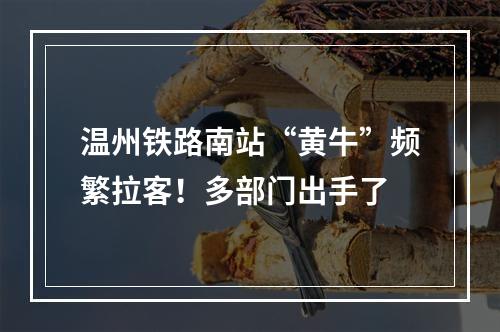 温州铁路南站“黄牛”频繁拉客！多部门出手了