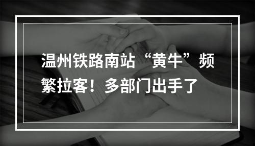 温州铁路南站“黄牛”频繁拉客！多部门出手了