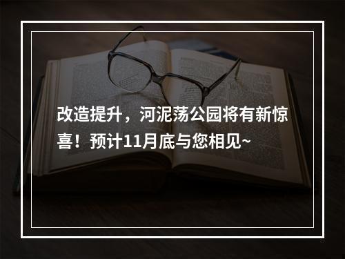 改造提升，河泥荡公园将有新惊喜！预计11月底与您相见~
