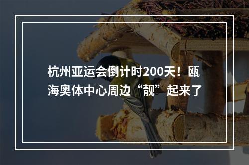 杭州亚运会倒计时200天！瓯海奥体中心周边“靓”起来了