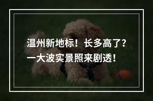温州新地标！长多高了？一大波实景照来剧透！